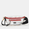 Hammitt Charles Crossbody Medium Clear